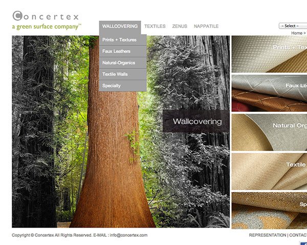 Concertex Inc